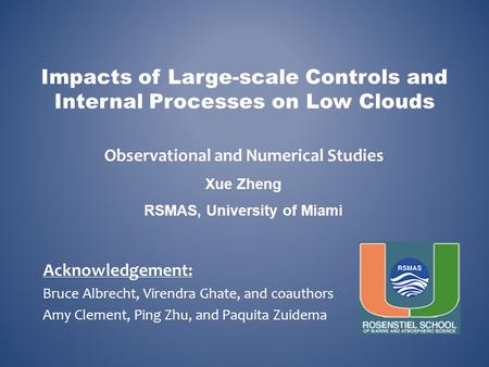 Impacts of Large-scale Controls and Internal Processes on Low Clouds