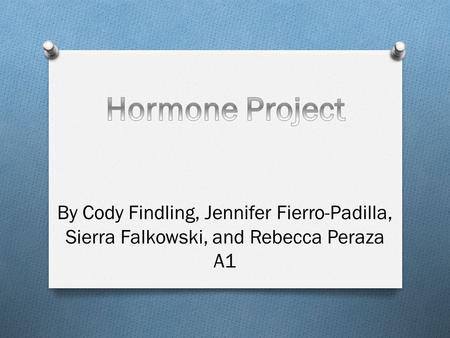 By Cody Findling, Jennifer Fierro-Padilla, Sierra Falkowski, and Rebecca Peraza A1.