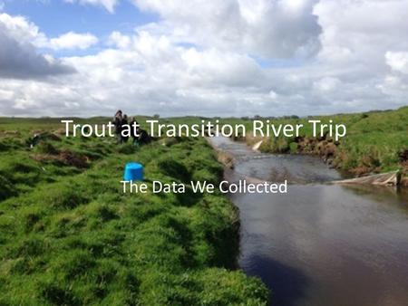 Trout at Transition River Trip The Data We Collected.