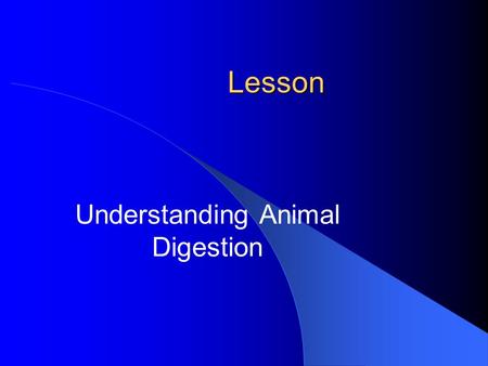 Understanding Animal Digestion