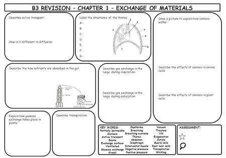 B3 REVISION – CHAPTER 1 – EXCHANGE OF MATERIALS KEY WORDS: Partially permeable Osmosis Active transport Solute Exchange surface Ventilated Gaseous exchange.