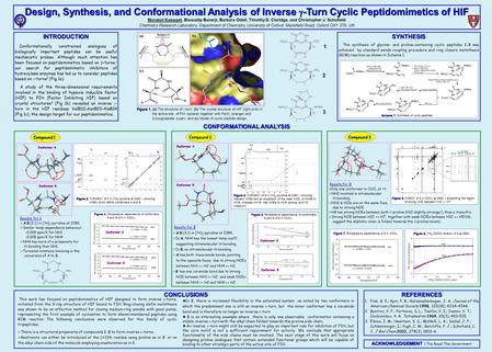 CONFORMATIONAL ANALYSIS Conformer B INTRODUCTION Conformationally constrained analogues of biologically important peptides can be useful mechanistic probes.