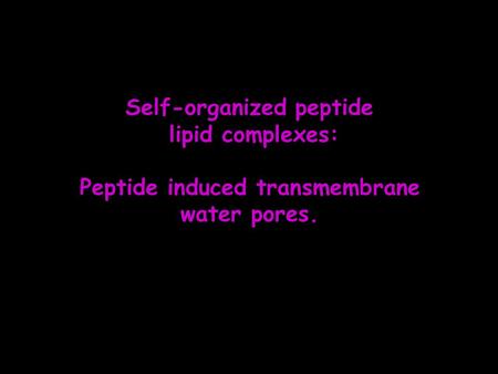Self-organized peptide Peptide induced transmembrane