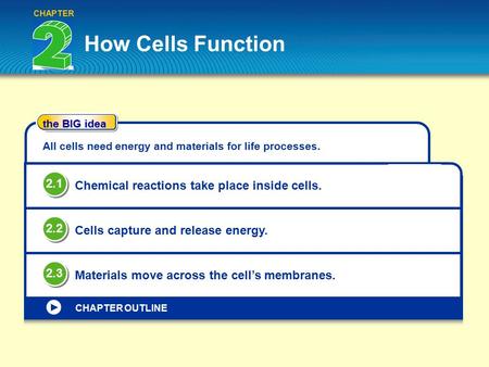 How Cells Function 2.1 Chemical reactions take place inside cells. 2.2