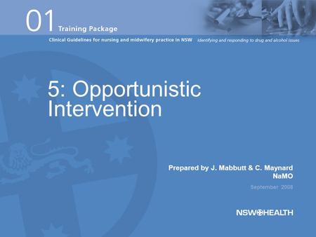 Prepared by J. Mabbutt & C. Maynard NaMO September 2008 5: Opportunistic Intervention.