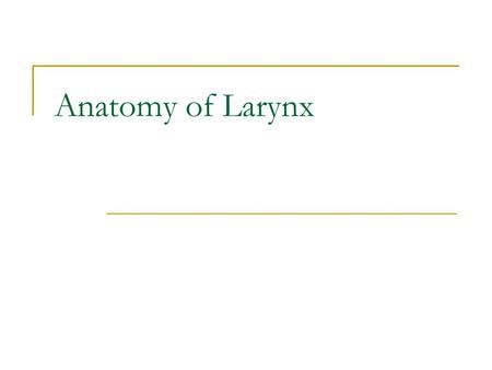 Anatomy of Larynx.