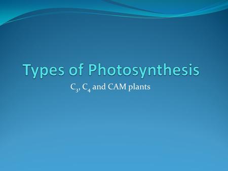Types of Photosynthesis