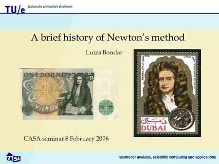 A brief history of Newton’s method CASA seminar 8 February 2006 Luiza Bondar.