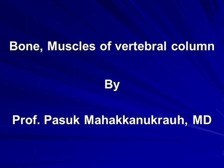 Bone, Muscles of vertebral column