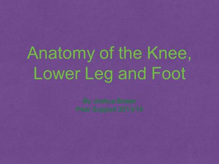 Anatomy of the Knee, Lower Leg and Foot