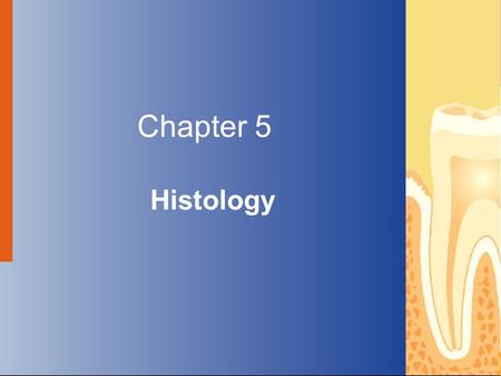 Chapter 5 Histology Copyright © 2004 by Delmar Learning, a division of Thomson Learning, Inc. ALL RIGHTS RESERVED.