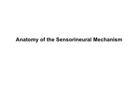 Anatomy of the Sensorineural Mechanism. Three main subdivisions of the labyrinth 1.cochlea 2.semicircular canals (vestibular system) 3.vestibule (vestibular.