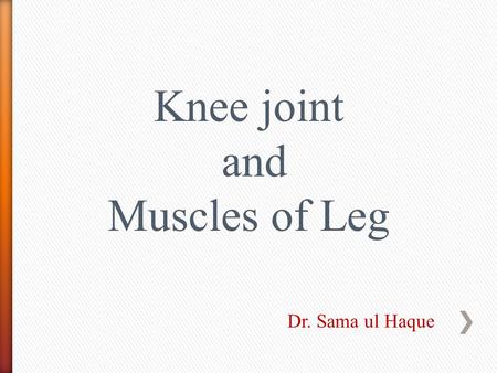Knee joint and Muscles of Leg Dr. Sama ul Haque.