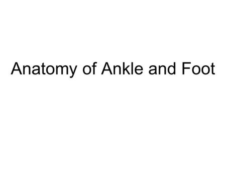 Anatomy of Ankle and Foot. Overview Bones of Ankle and Foot Functions Blood Vessels and Nerves Parts of the Foot Arches of the Foot Joints Tendons and.