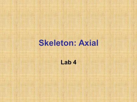 Skeleton: Axial Lab 4. Classification of Bones Human body consists in 206 bones. They are divided in two groups: Axial skeleton (form the long axis of.
