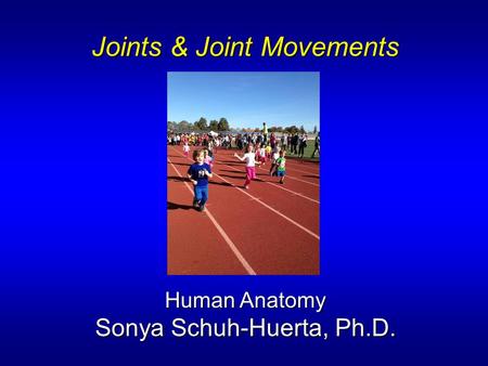 Joints & Joint Movements