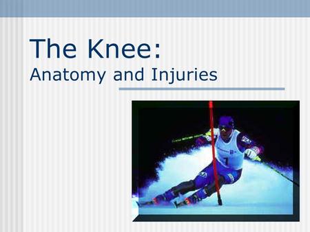 The Knee: Anatomy and Injuries
