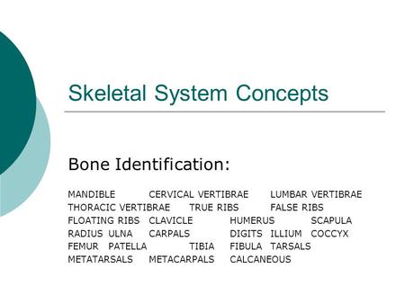 Skeletal System Concepts
