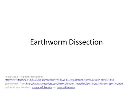 Earthworm Dissection Photo Credit: All photos taken from