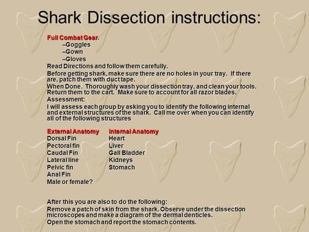 Shark Dissection instructions: Full Combat Gear. –Goggles –Gown –Gloves Read Directions and follow them carefully. Before getting shark, make sure there.