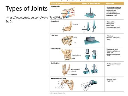 Types of Joints https://www.youtube.com/watch?v=QWRV4W ZrzDs.