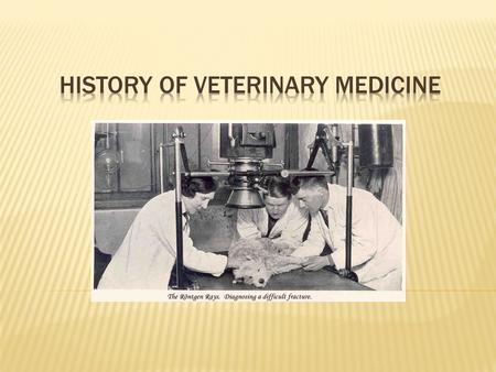 History of Veterinary medicine