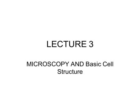 LECTURE 3 MICROSCOPY AND Basic Cell Structure. TODAYS MENU MICROSCOPY BASIC CELL STRUCTURE SUMMARY #1 and ASSIGNMENT 2 DUE PAGES TO READ: 77-85.