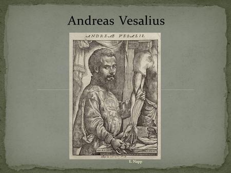 Andreas Vesalius E. Napp. A Belgian-born physician E. Napp.