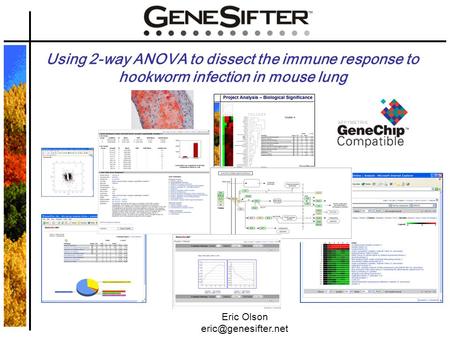 Using 2-way ANOVA to dissect the immune response to hookworm infection in mouse lung Eric Olson