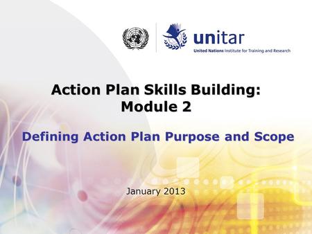 Action Plan Skills Building: Module 2 Defining Action Plan Purpose and Scope January 2013.