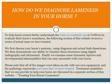 HOW DO WE DIAGNOSE LAMENESS IN YOUR HORSE ?