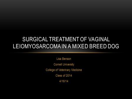 Surgical treatment of vaginal leiomyosarcoma in a mixed breed dog