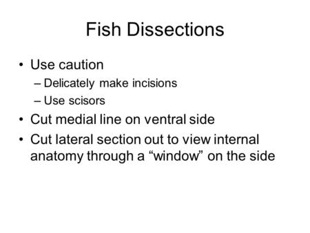 Fish Dissections Use caution Cut medial line on ventral side