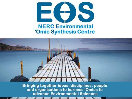 EOS ACTIVITIES To champion ‘Omics in NERC Fellowships: Prompt Bioinformatics as a professional niche Partnerships (RC, Industry, Government(s)) Conferences: