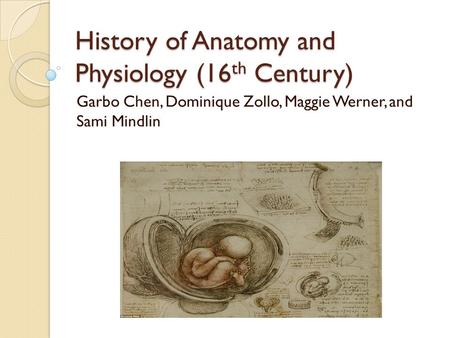 History of Anatomy and Physiology (16 th Century) Garbo Chen, Dominique Zollo, Maggie Werner, and Sami Mindlin.