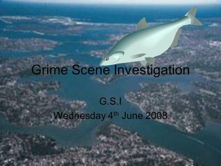 Grime Scene Investigation G.S.I Wednesday 4 th June 2008.