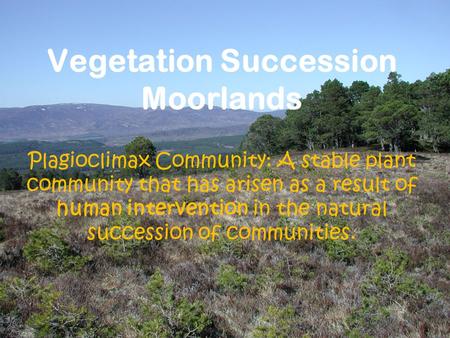 Vegetation Succession Moorlands Plagioclimax Community: A stable plant community that has arisen as a result of human intervention in the natural succession.