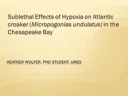 Sublethal Effects of Hypoxia on Atlantic croaker (Micropogonias undulatus) in the Chesapeake Bay.