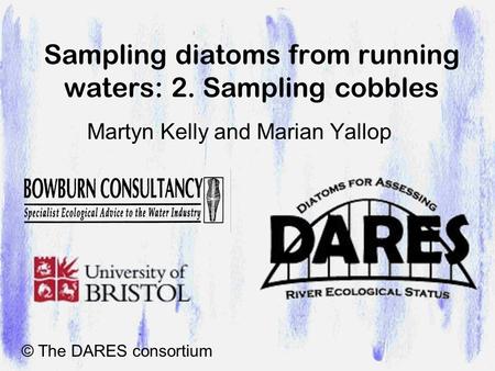 Sampling diatoms from running waters: 2. Sampling cobbles Martyn Kelly and Marian Yallop © The DARES consortium.