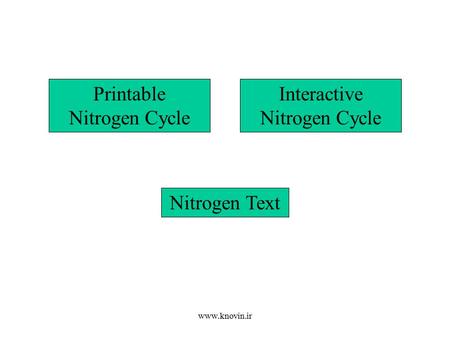 Printable Nitrogen Cycle Interactive Nitrogen Cycle