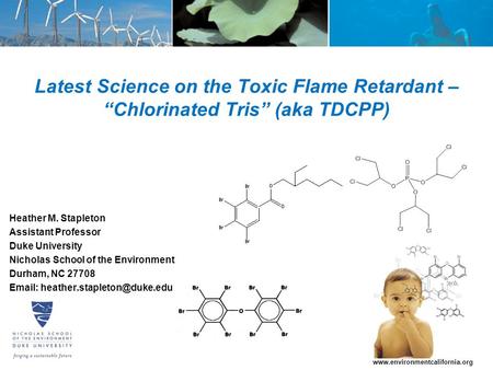 Latest Science on the Toxic Flame Retardant – “Chlorinated Tris” (aka TDCPP) Heather M. Stapleton Assistant Professor Duke University Nicholas School of.
