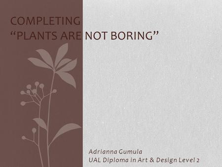 Adrianna Gumula UAL Diploma in Art & Design Level 2 COMPLETING “PLANTS ARE NOT BORING”