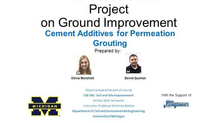 Web-based Class Project on Ground Improvement Report prepared as part of course CEE 542: Soil and Site Improvement Winter 2014 Semester Instructor: Professor.