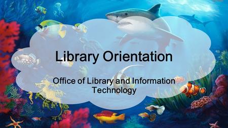 Office of Library and Information Technology
