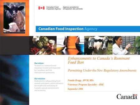 Enhancements to Canada’s Ruminant Feed Ban Permitting Under the New Regulatory Amendments Natalie Bragg, DVM, MSc Veterinary Program Specialist – BSE September.