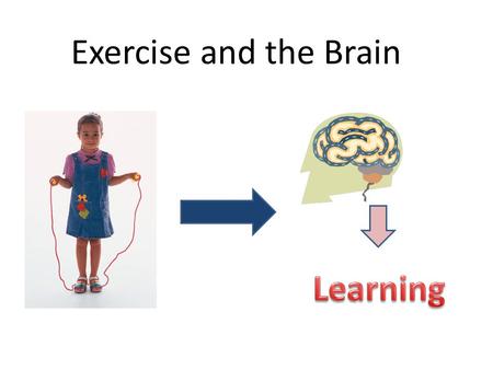 Exercise and the Brain. The Science behind it all….. Exercise is the single most powerful tool you have to optimize your brain function. Skeptical? –