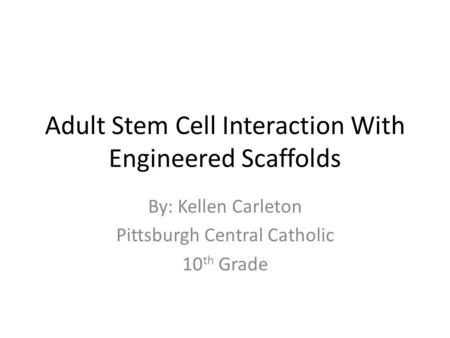 Adult Stem Cell Interaction With Engineered Scaffolds