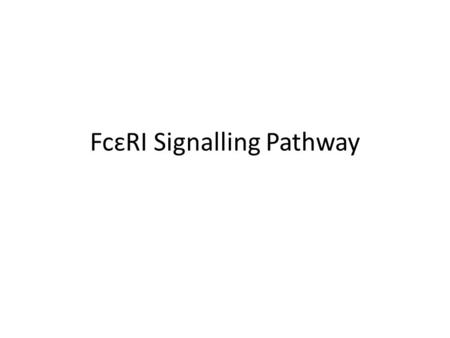 FcɛRI Signalling Pathway. The Ligand : IgE Mast and Basophil Cells.