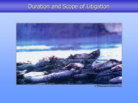 Duration and Scope of Litigation © Photograph by Natalie Fobes.