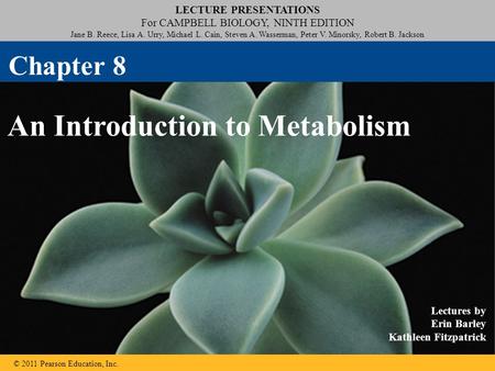 An Introduction to Metabolism